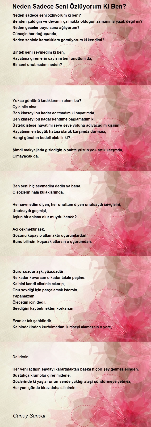 Güney Sancar