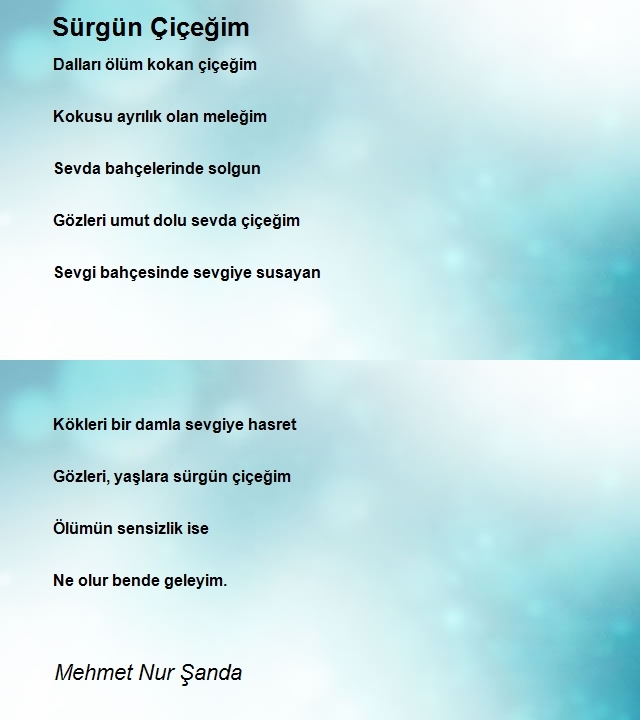 Mehmet Nur Şanda