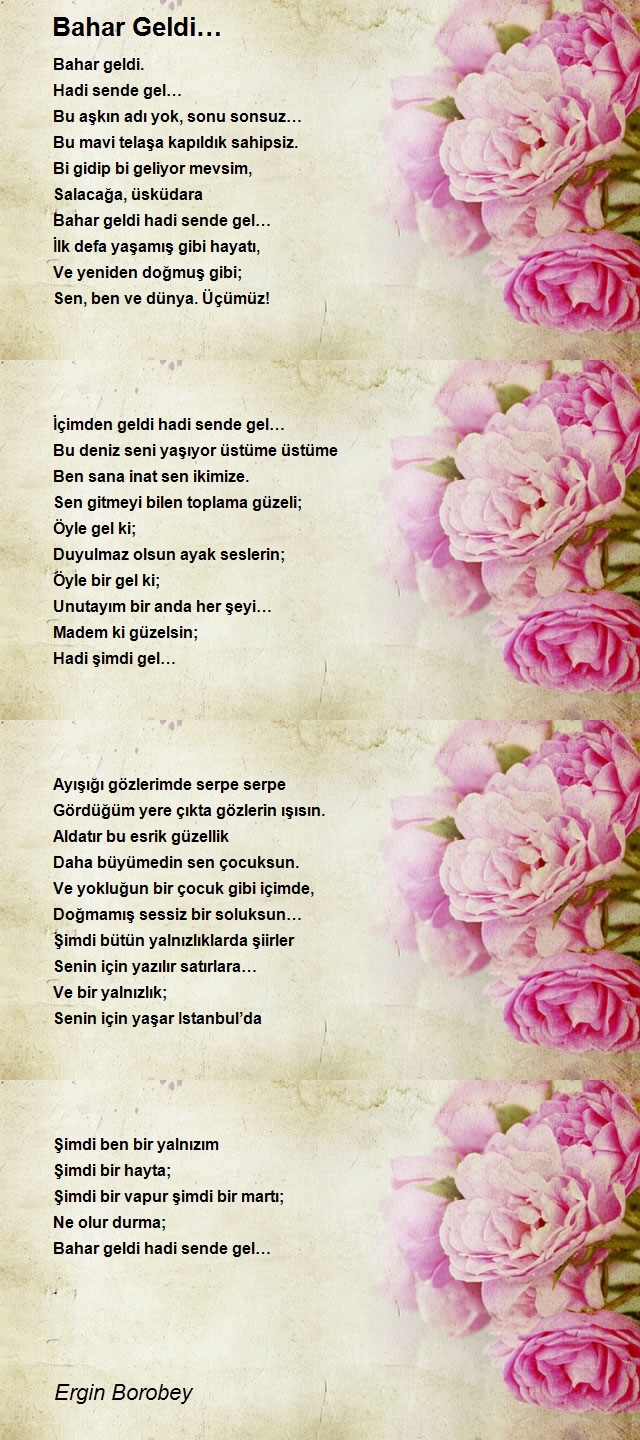 Ergin Borobey