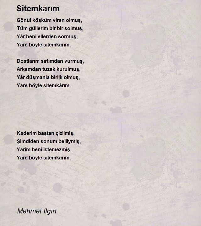 Mehmet Ilgın
