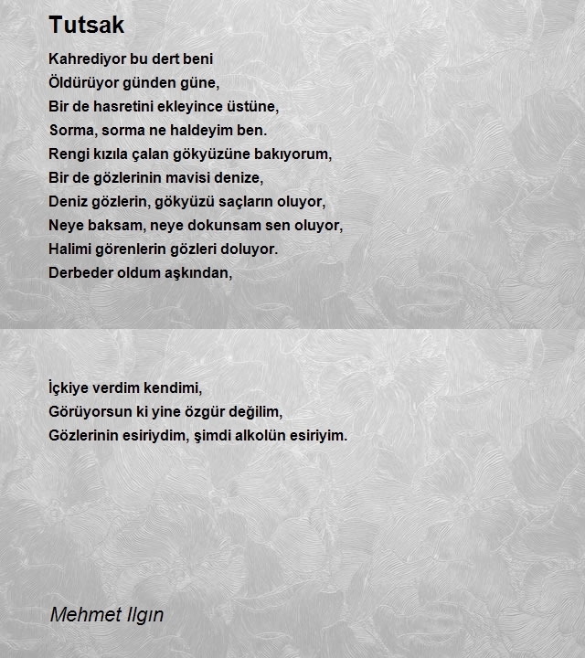 Mehmet Ilgın