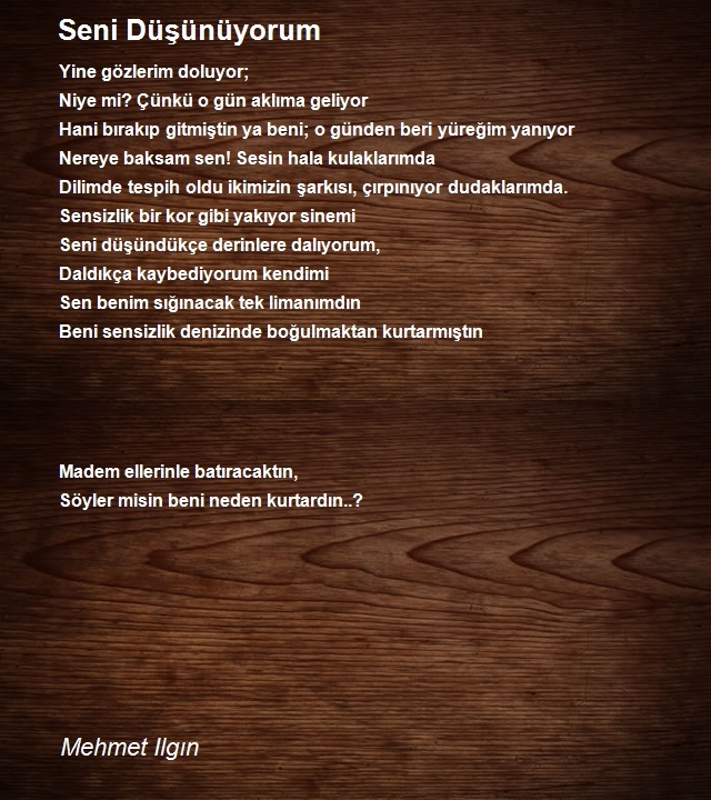 Mehmet Ilgın