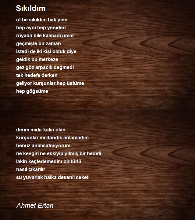 Ahmet Ertan