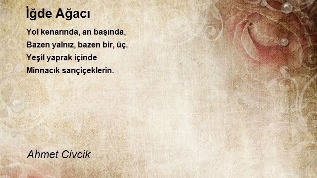 Ahmet Civcik