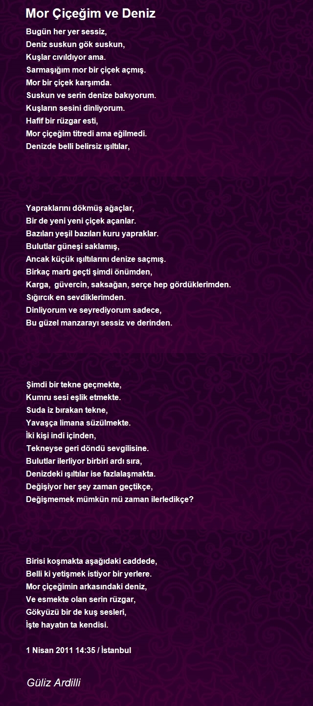 Güliz Ardilli