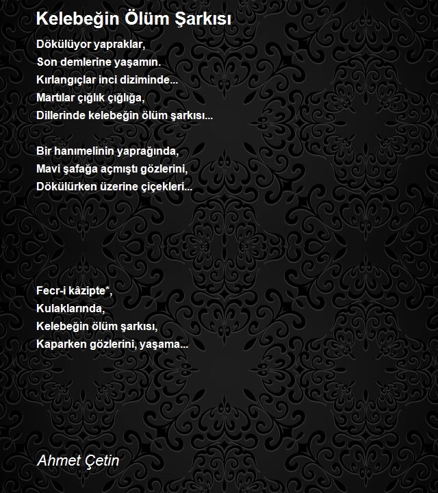 Ahmet Çetin