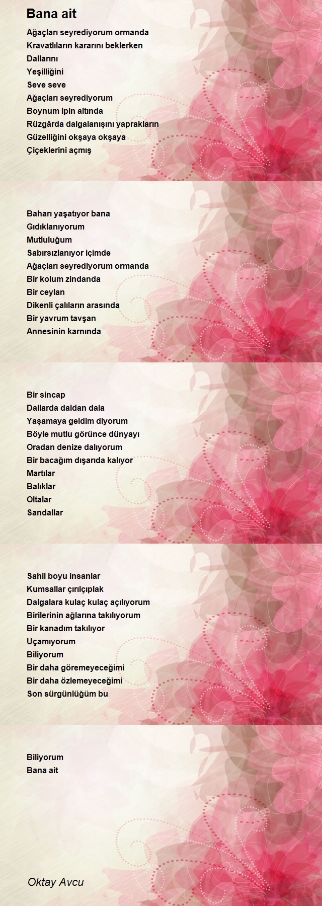 Oktay Avcu