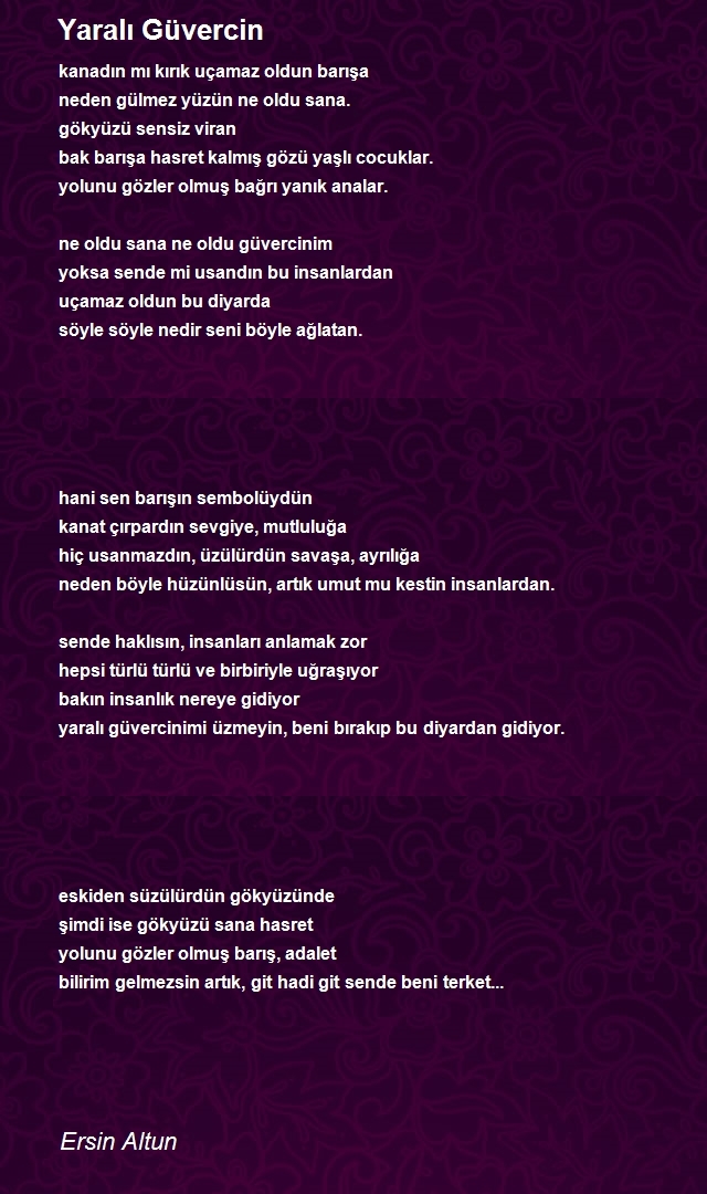 Ersin Altun