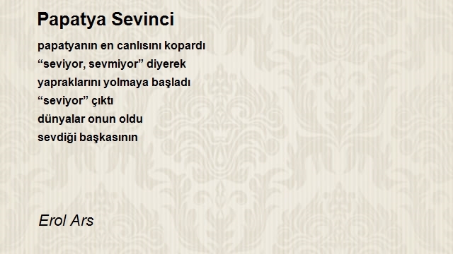 Erol Ars