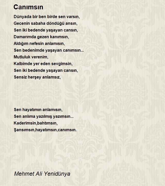 Mehmet Ali Yenidünya