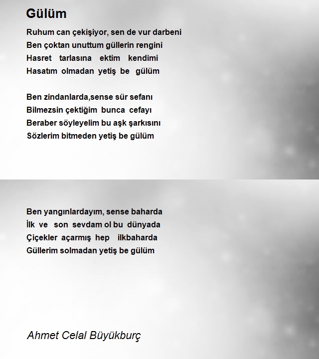 Ahmet Celal Büyükburç