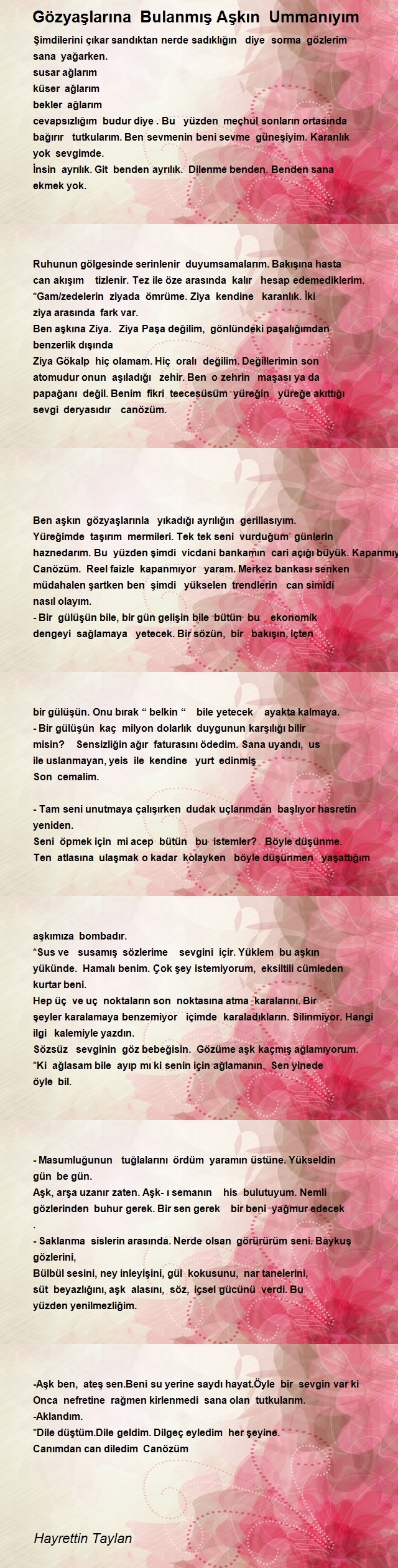 Hayrettin Taylan