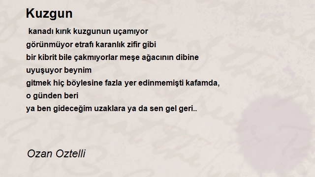 Ozan Oztelli