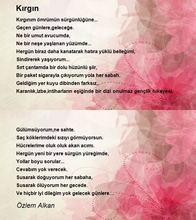 Özlem Alkan