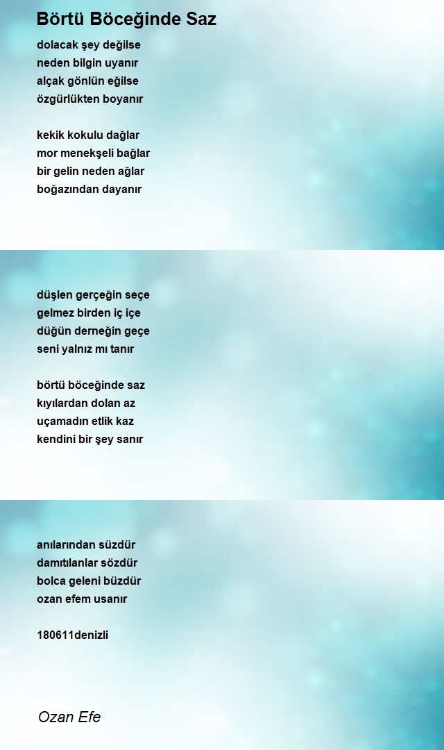 Ozan Efe