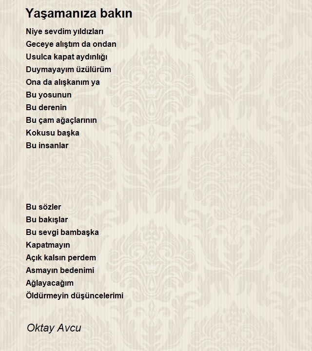 Oktay Avcu