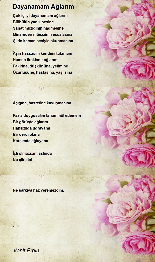 Vahit Ergin
