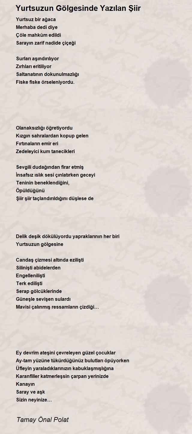 Tamay Önal Polat