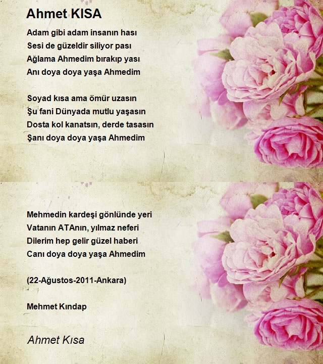 Ahmet Kısa