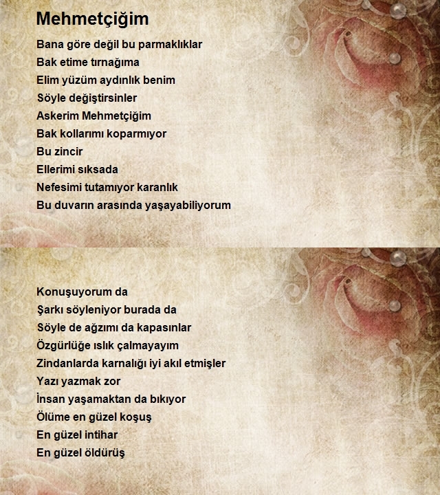 Oktay Avcu