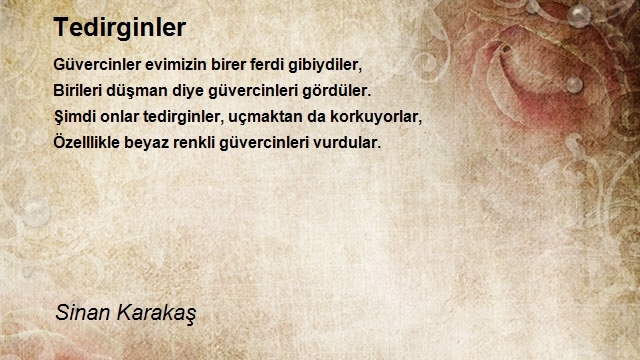 Sinan Karakaş
