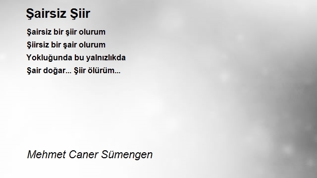 Mehmet Caner Sümengen