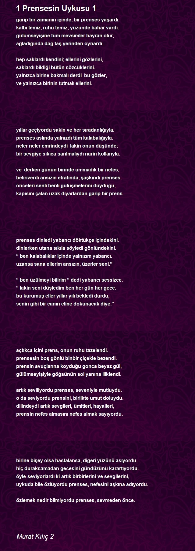 Murat Kılıç 2