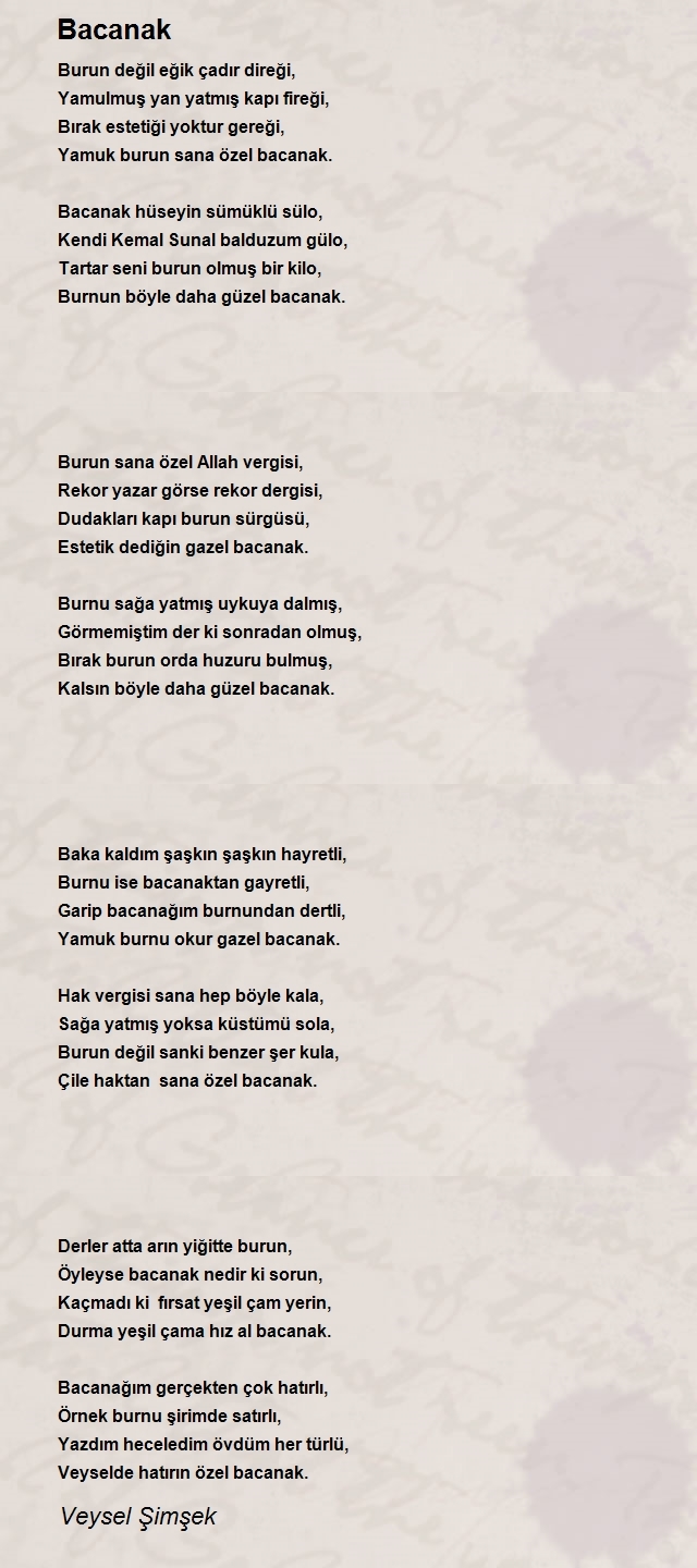 Veysel Şimşek