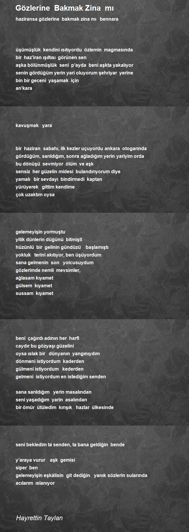 Hayrettin Taylan
