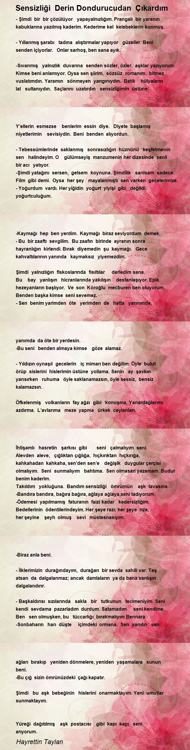 Hayrettin Taylan