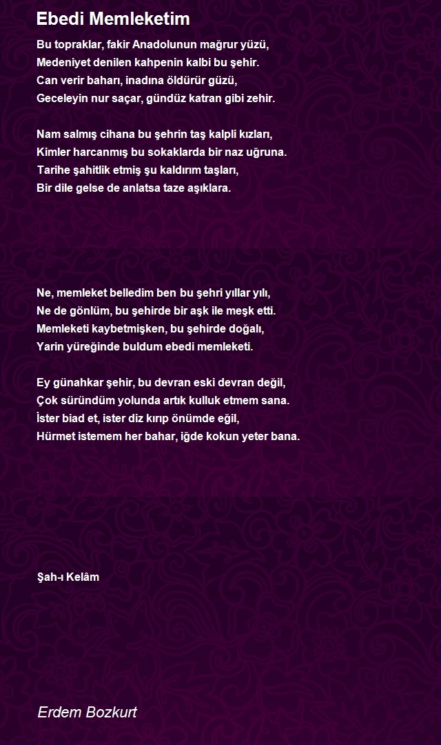 Erdem Bozkurt