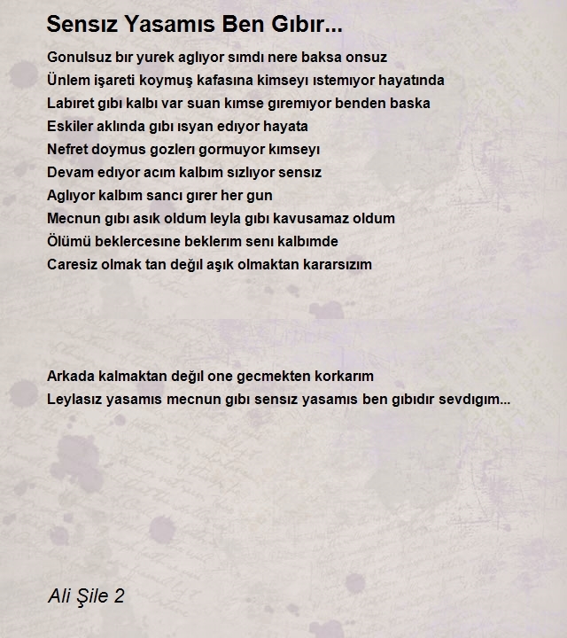 Ali Şile 2