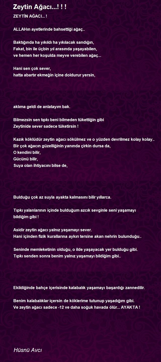 Hüsnü Avcı