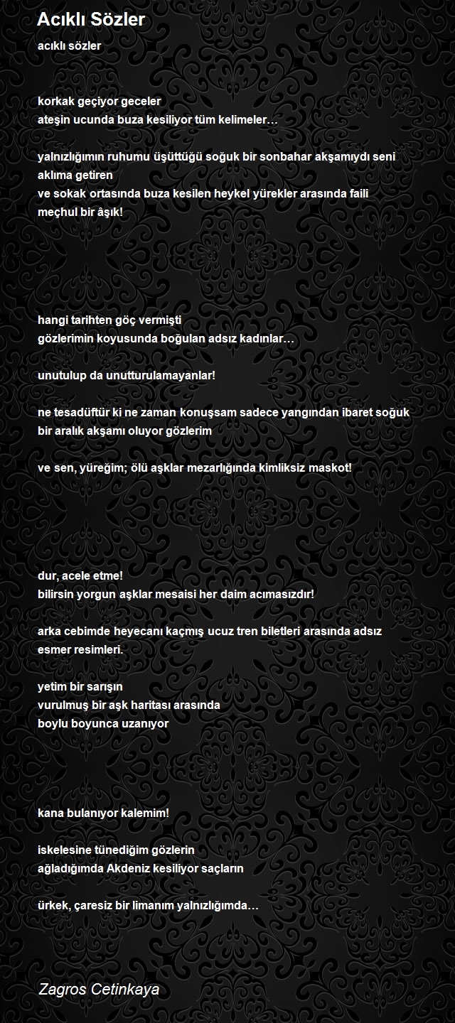 Zagros Cetinkaya