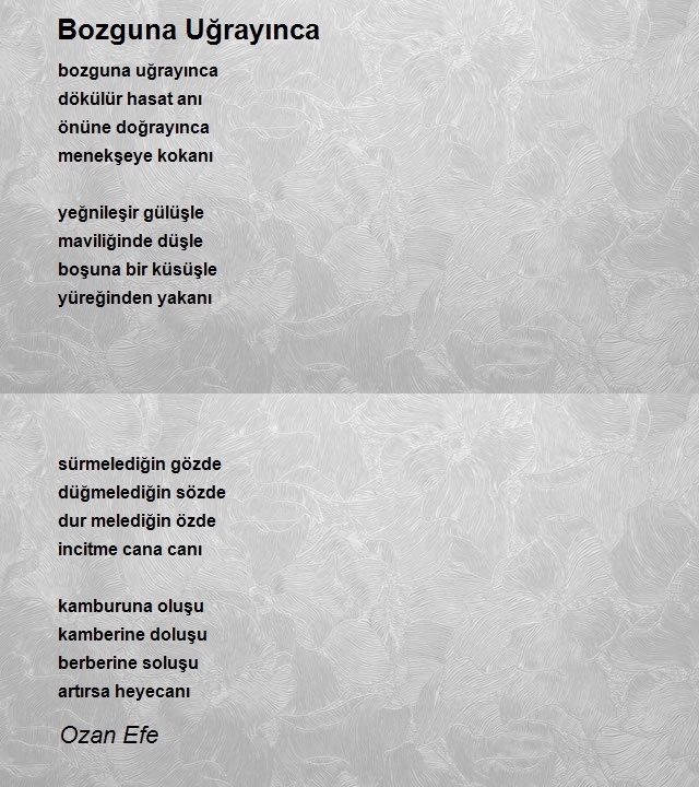 Ozan Efe