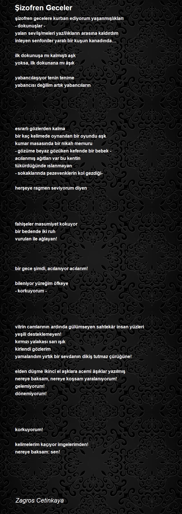 Zagros Cetinkaya