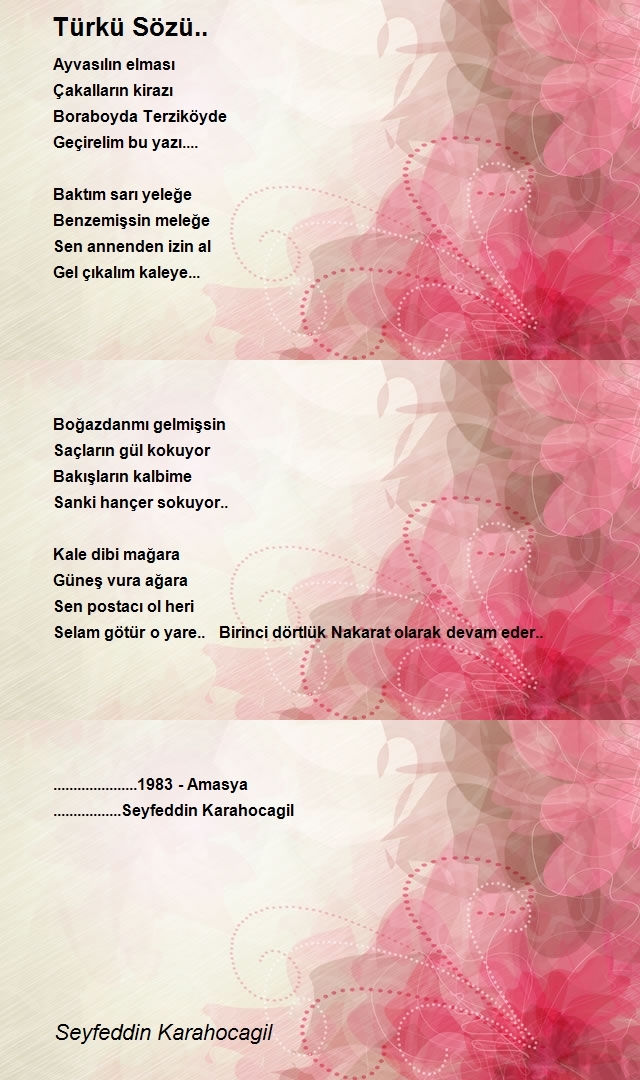 Seyfeddin Karahocagil