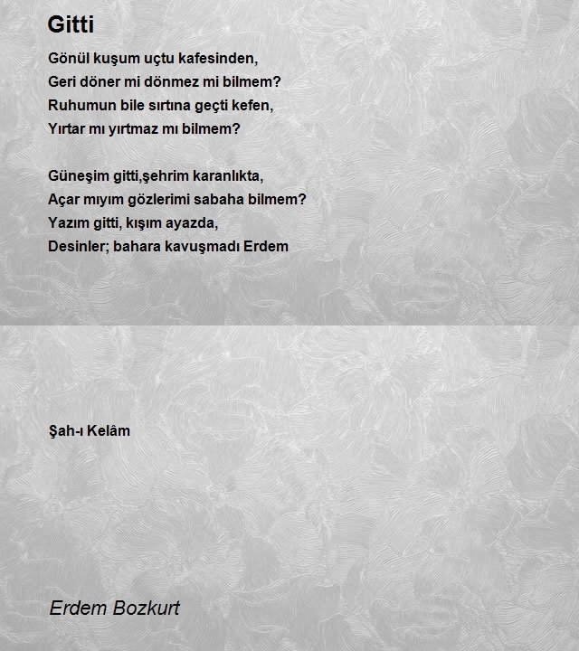 Erdem Bozkurt