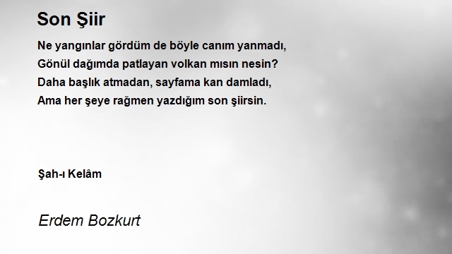 Erdem Bozkurt