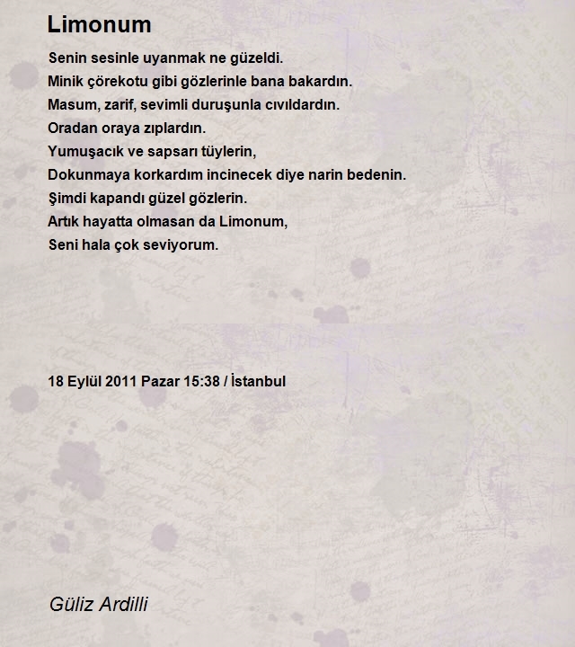 Güliz Ardilli