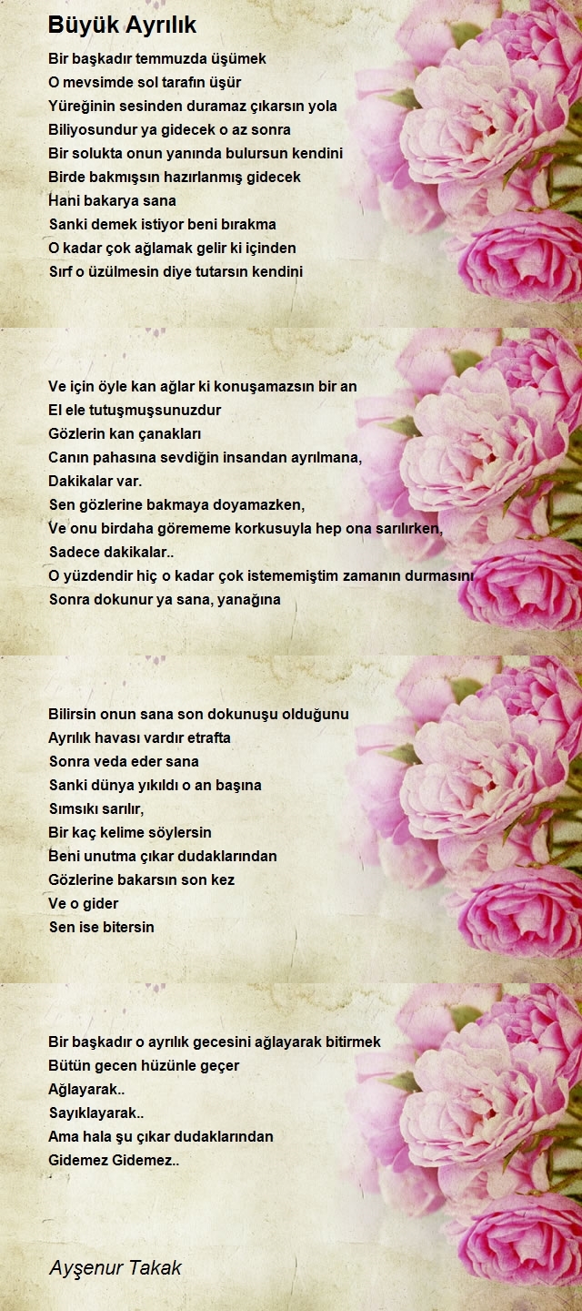 Ayşenur Takak