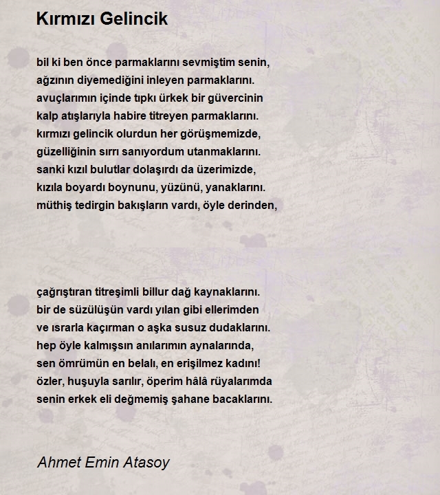 Ahmet Emin Atasoy