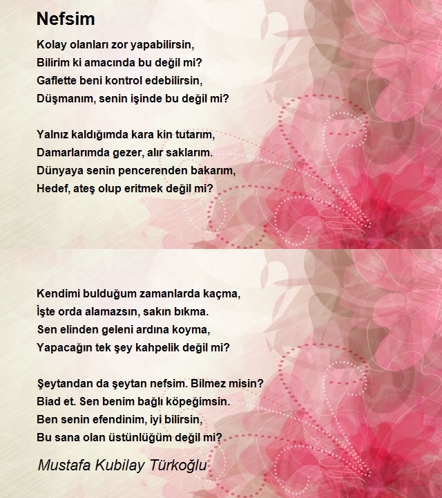 Mustafa Kubilay Türkoğlu