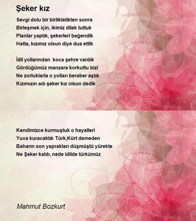 Mahmut Bozkurt