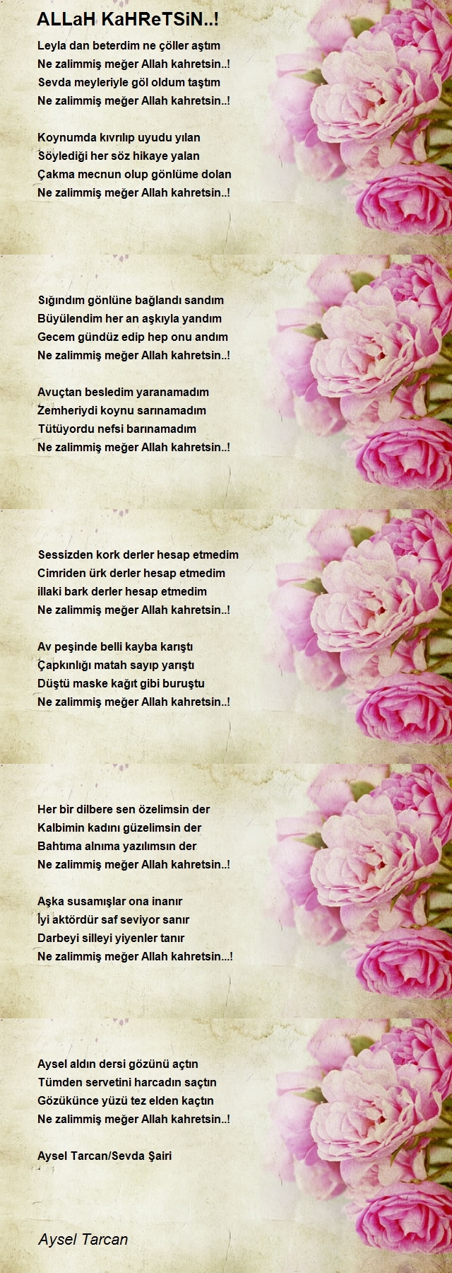 Aysel Tarcan