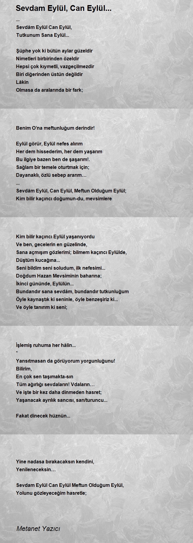Metanet Yazıcı