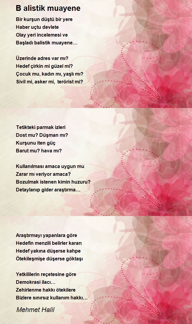 Mehmet Halil