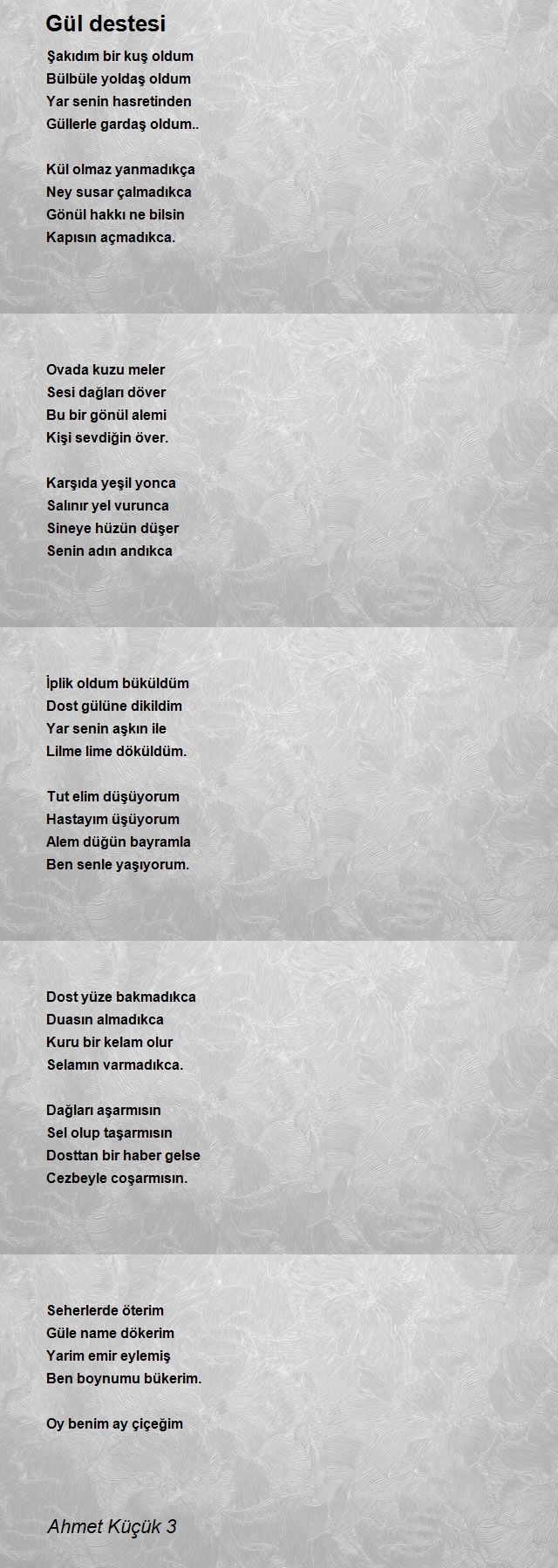 Ahmet Küçük 3