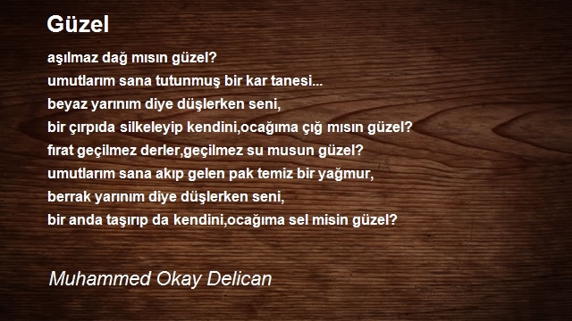 Muhammed Okay Delican