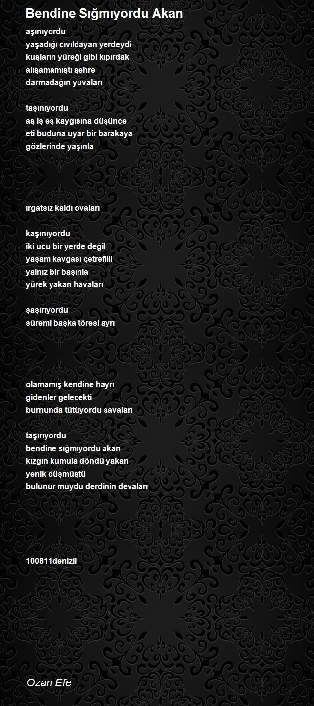 Ozan Efe